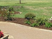 Speaker in the Flower Bed
