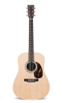 Martin DX1RGT Acoustic Guitar