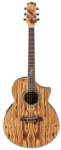 Ibanez EW20ZW Zebrawood Acoutsic Electric