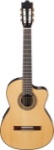 Ibanez G Series G200ECENT Classical Acoustic-Electric Guitar  (Natural)