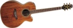 Takamine EF508KC NEX All Koa Acoustic-Electric Guitar  (Natural)