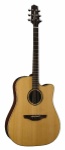 Takamine ETN10C Dreadnought Acoustic-Electric Guitar With Case