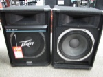 Peavey SP5 Enclosure