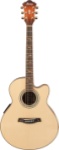Ibanez AEL50SERLV Cutaway Acoustic-Electric Guitar  (Resonant Low Gloss)