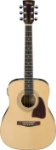 Ibanez Daytripper Series DT100E Acoustic Guitar  (Natural)