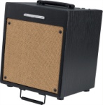Ibanez Troubadour T35 35W 1x10 Acoustic Guitar Amp  (Black)
