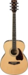 Ibanez PC25WC PF Series Acoustic Guitar with Case  (Natural)
