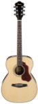 Ibanez SGT110 Concert Body Acoustic Guitar (Natural)