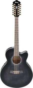 Ibanez AEL2012ETKS 12 String