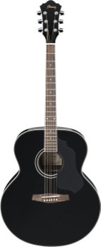 Ibanez SGT130 SAGE SERIES Acoustic Guitar  (Black)