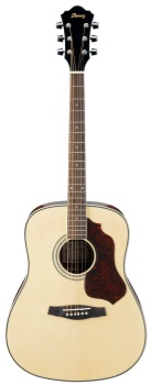 Ibanez SGT120 SAGE SERIES Acoustic Guitar (Natural)