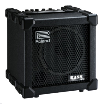 Roland CUBE-20XL Bass Combo Amplifier (20 Watts, 1x8 in.)