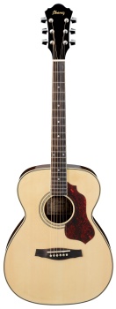 Ibanez SGT110 Concert Body Acoustic Guitar (Natural)