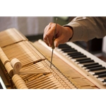 Pianos Pending Refurbishing