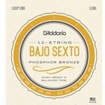 D'Addario EJS86 Bajo Sexto Stainless Steel