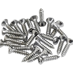 Fender Pickguard Control Plate Mounting Screws (24) (Chrome)