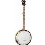 Washburn B10 5-String Resonator Banjo