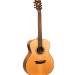 Washburn FW-Woodline all solid wood Acoustic Electric Guitar