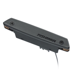 Fishman Pro Neo D Magnetic Soundhole Pickup
