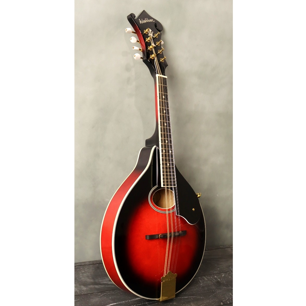 ■Washburn WL-45F ワッシュバーン Randoll ランドール Washburn Guitars