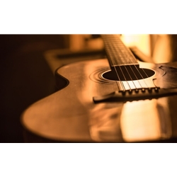 The Anatomy of a Guitar