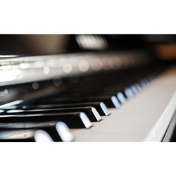 Beginner’s Guide To Buying Your First Piano or Keyboard