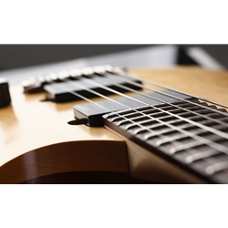 The Anatomy of a Solid-Body Guitar and Why You Should Get One