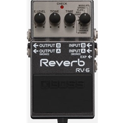 Roland RV-6 Digital Reverb & Delay