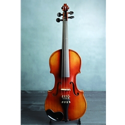 Cremona Fecit Anno Violin Preowned