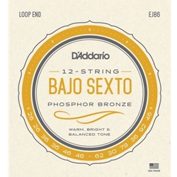 D'Addario EJS86 Bajo Sexto Stainless Steel