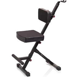 FrameWorks Deluxe Guitar Seat