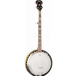 Washburn B10 5-String Resonator Banjo