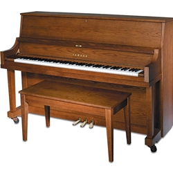 Yamaha P22 45" Upright Professional Collection Piano Dark Oak