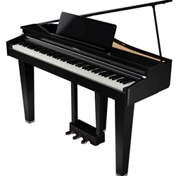 Roland GP-3 Digital Grand Piano Polished Ebony